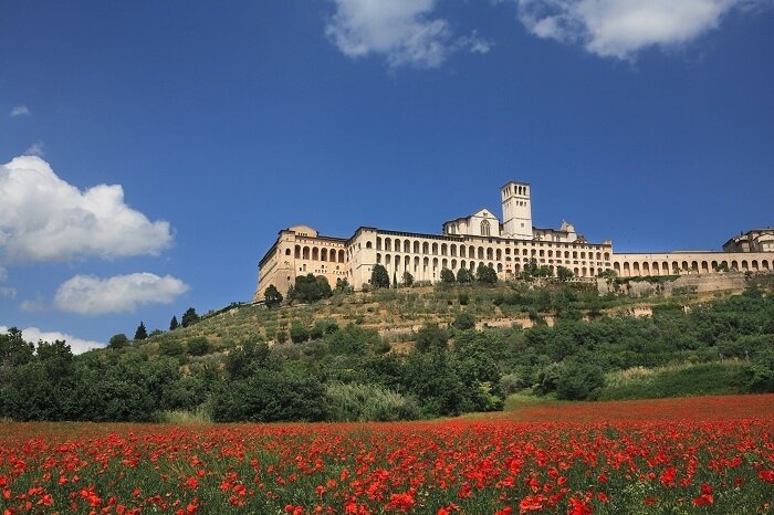 Viole Country Hotel 5