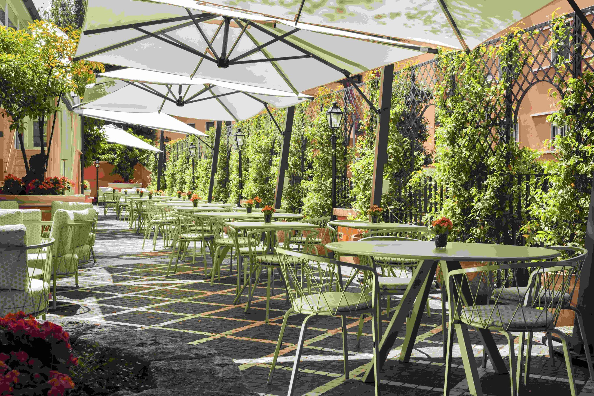 Hotel degli Aranci 5