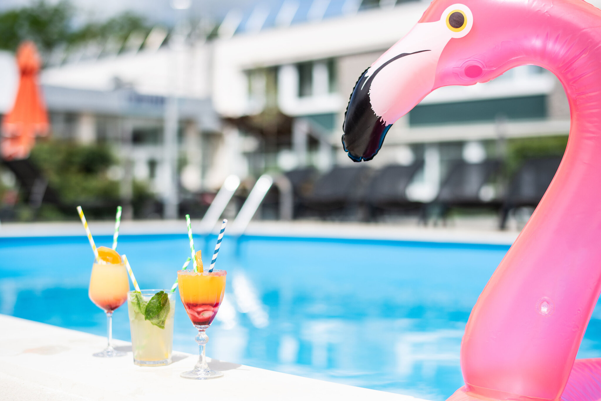 Novotel Evry Courcouronnes 5