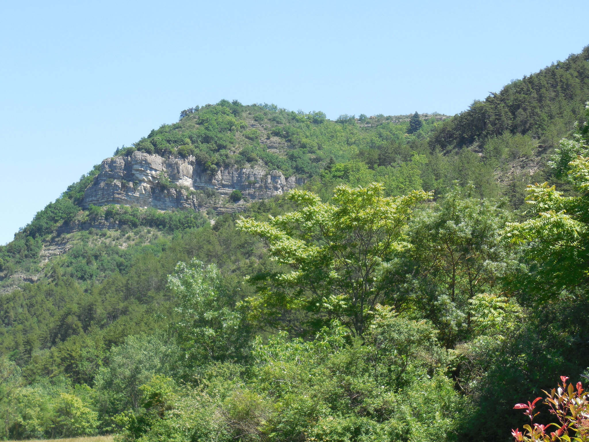 Le Chalet Bois de Célio 5