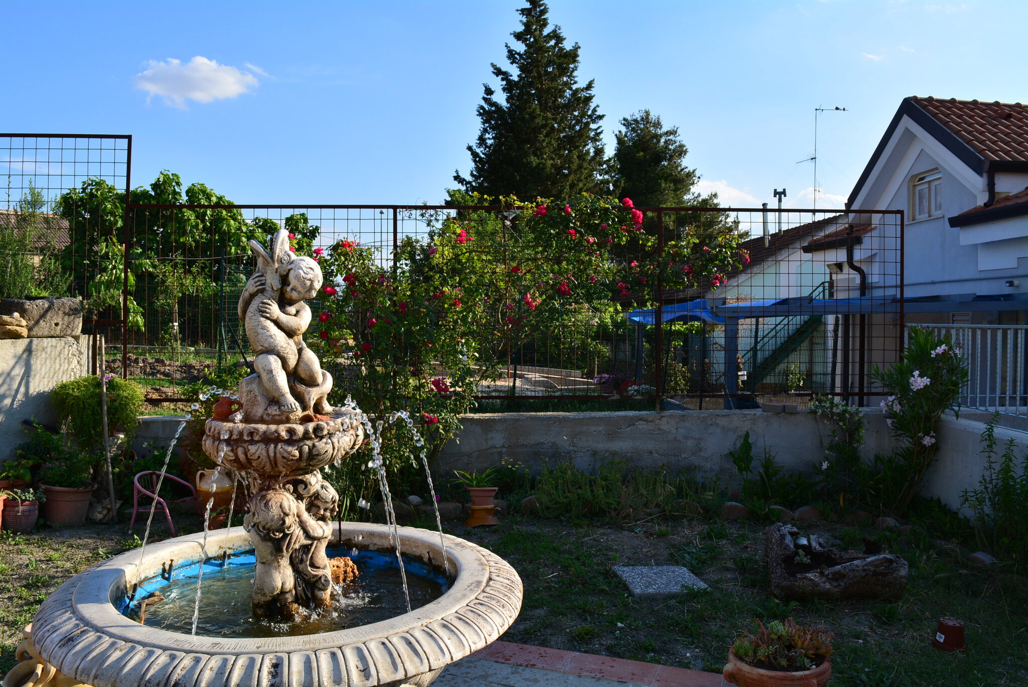 B&B Angolo Felice 5