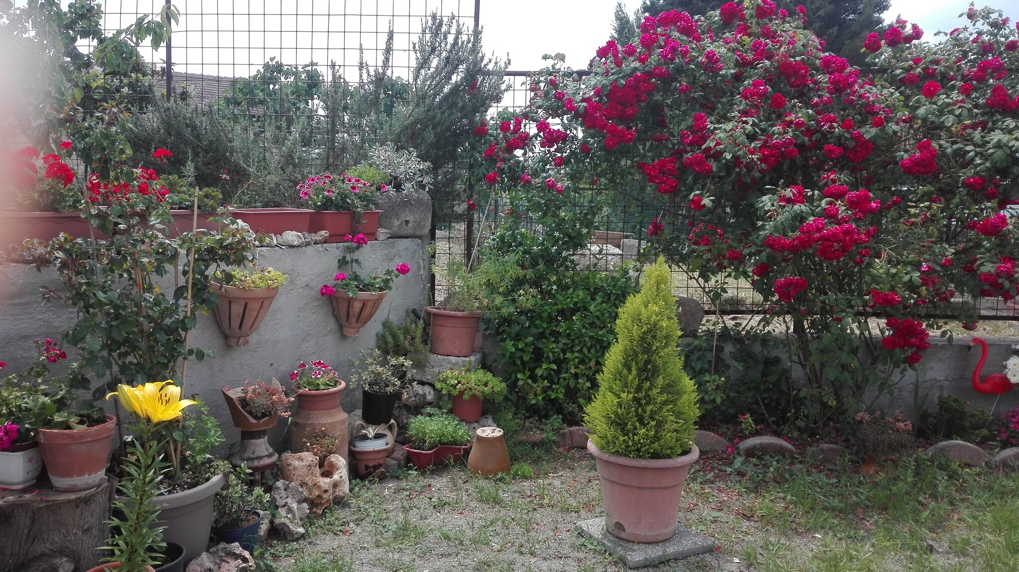 B&B Angolo Felice 2