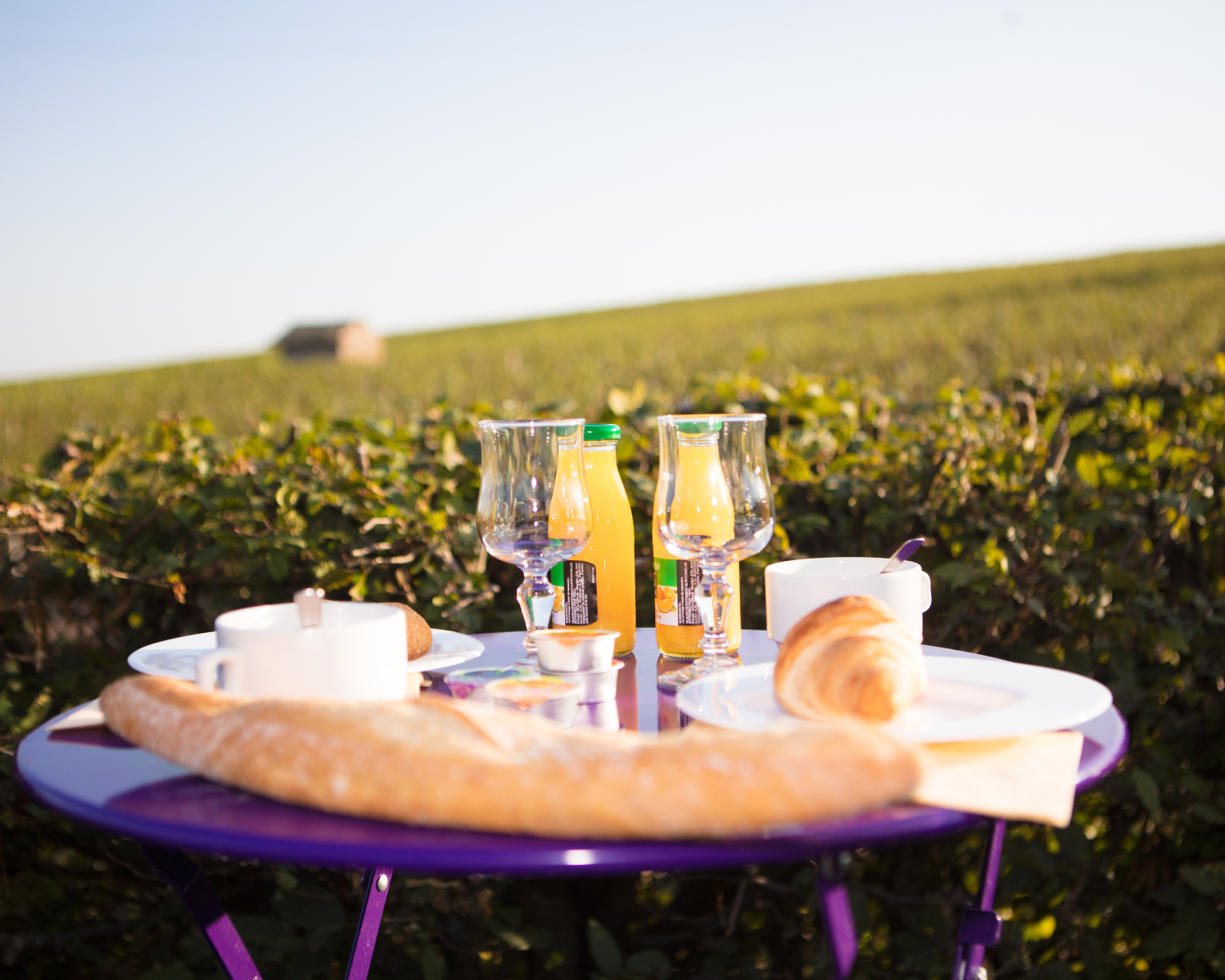 Camping de la Grappe Fleurie 4