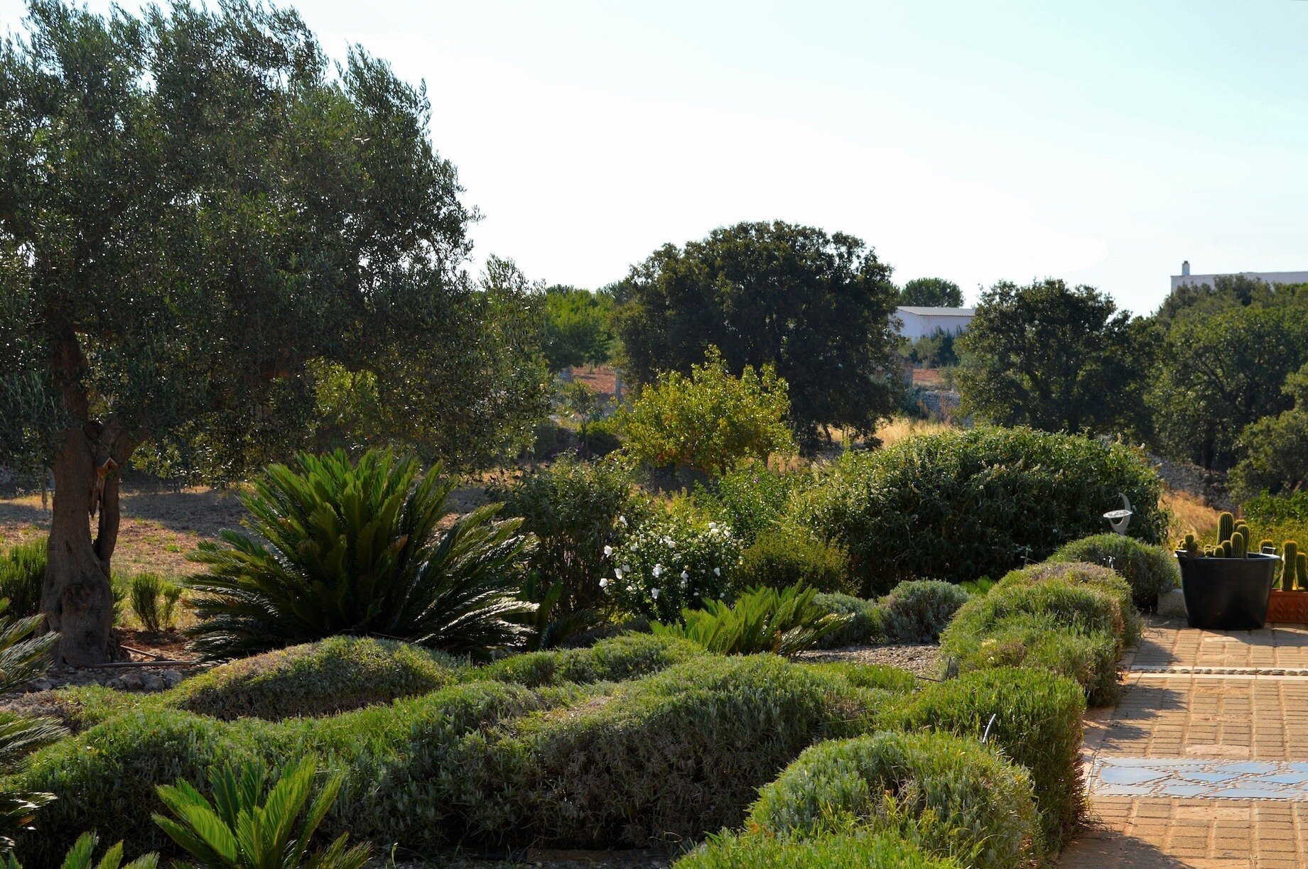 Villa Lavanda 4
