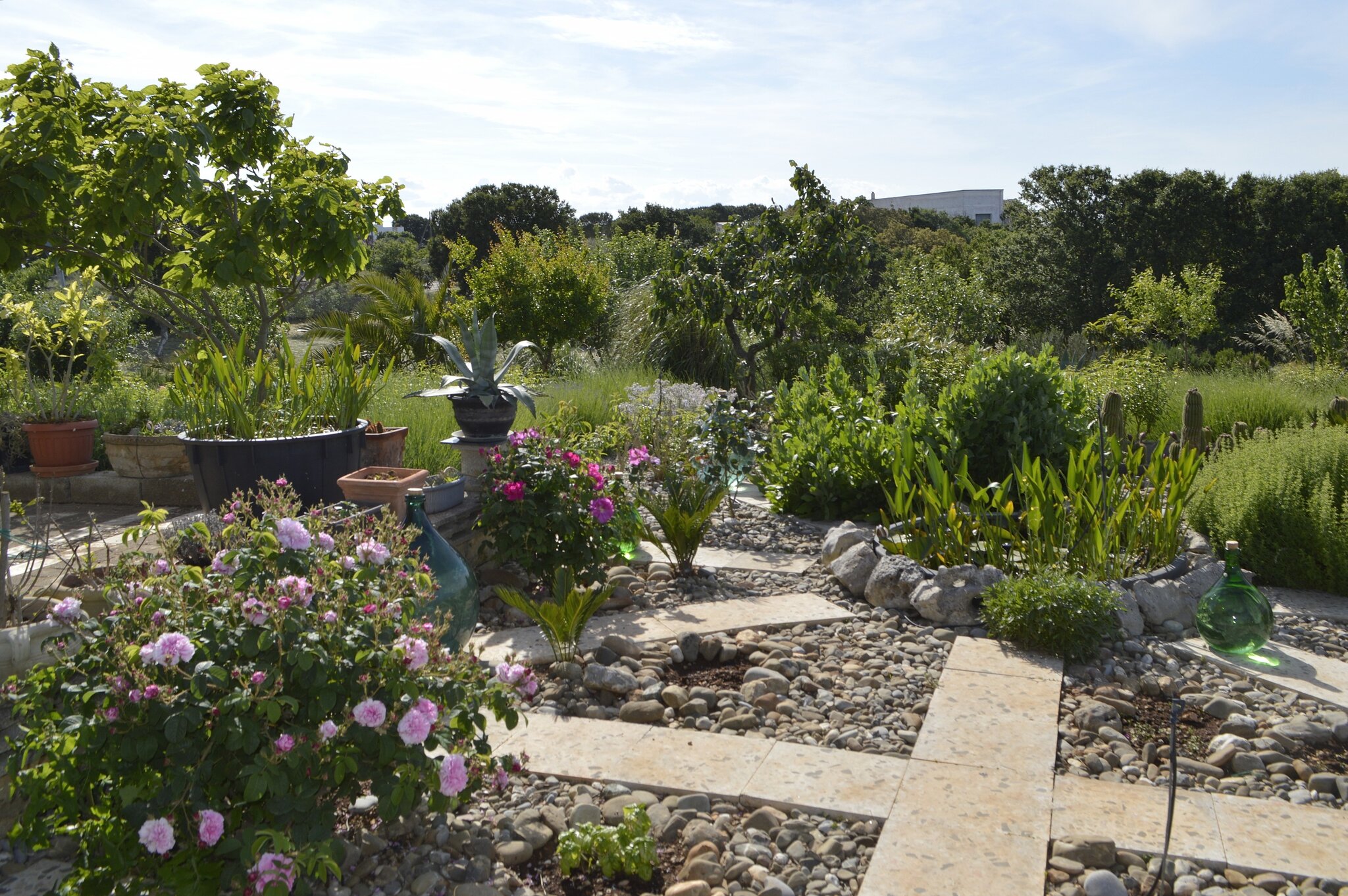 Villa Lavanda 2