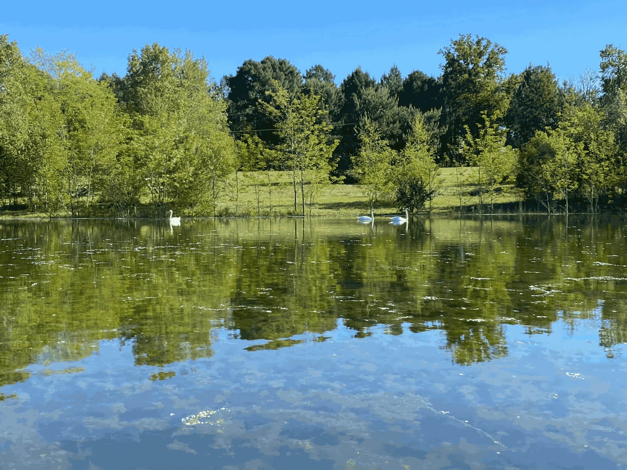Parcours Aventure 49 4