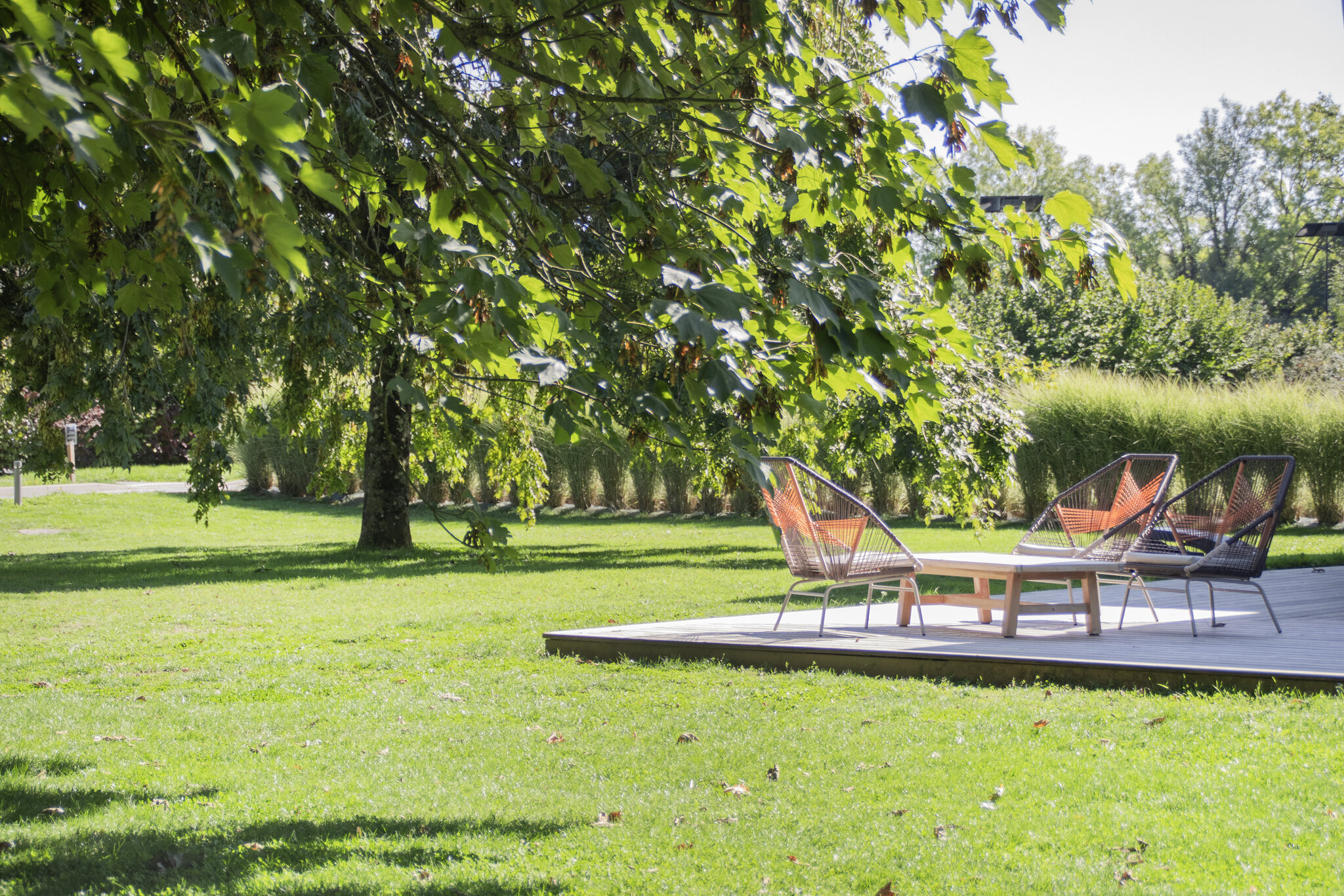Domaine Le Corbusson 5