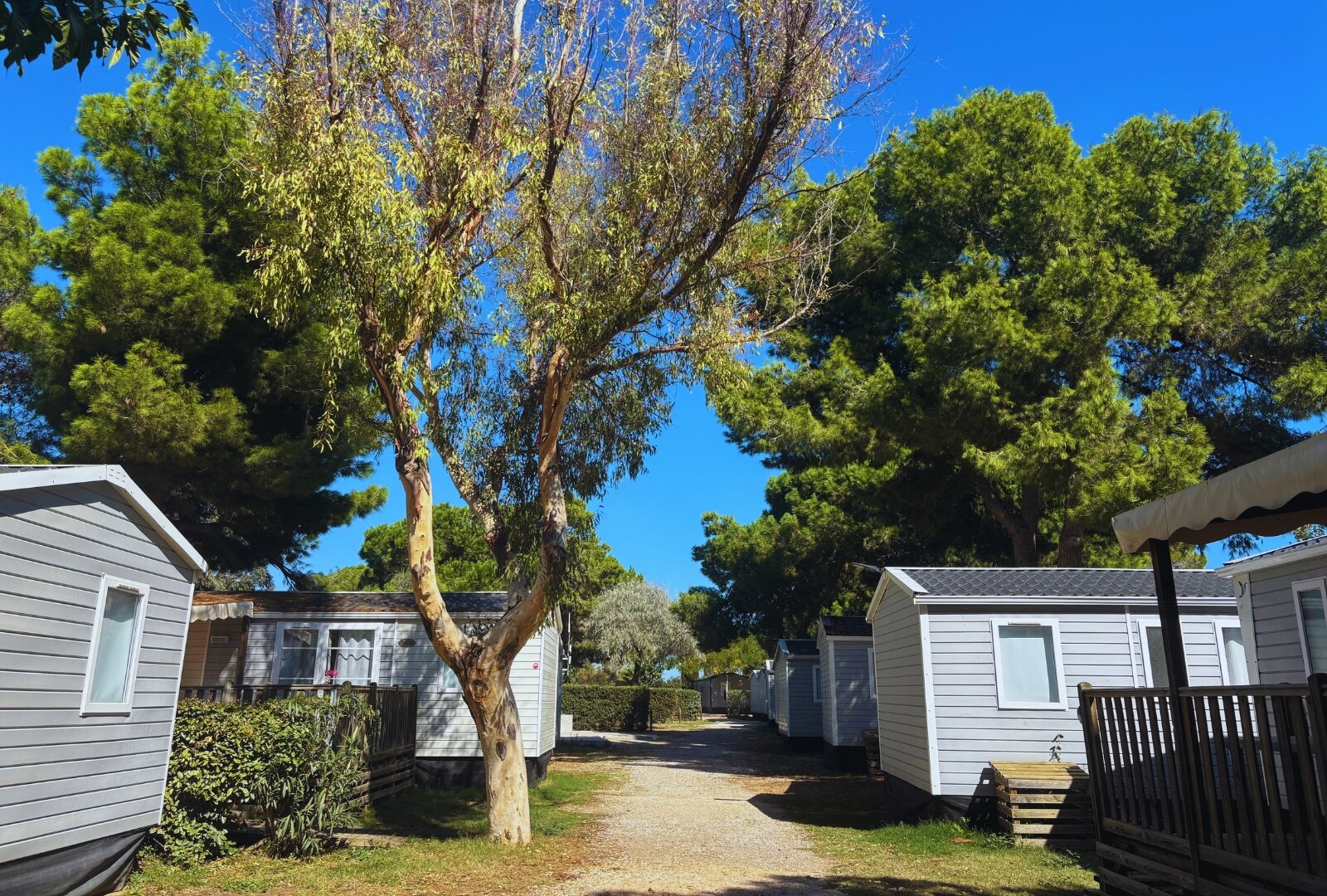 Camping Les Flamants Roses 5