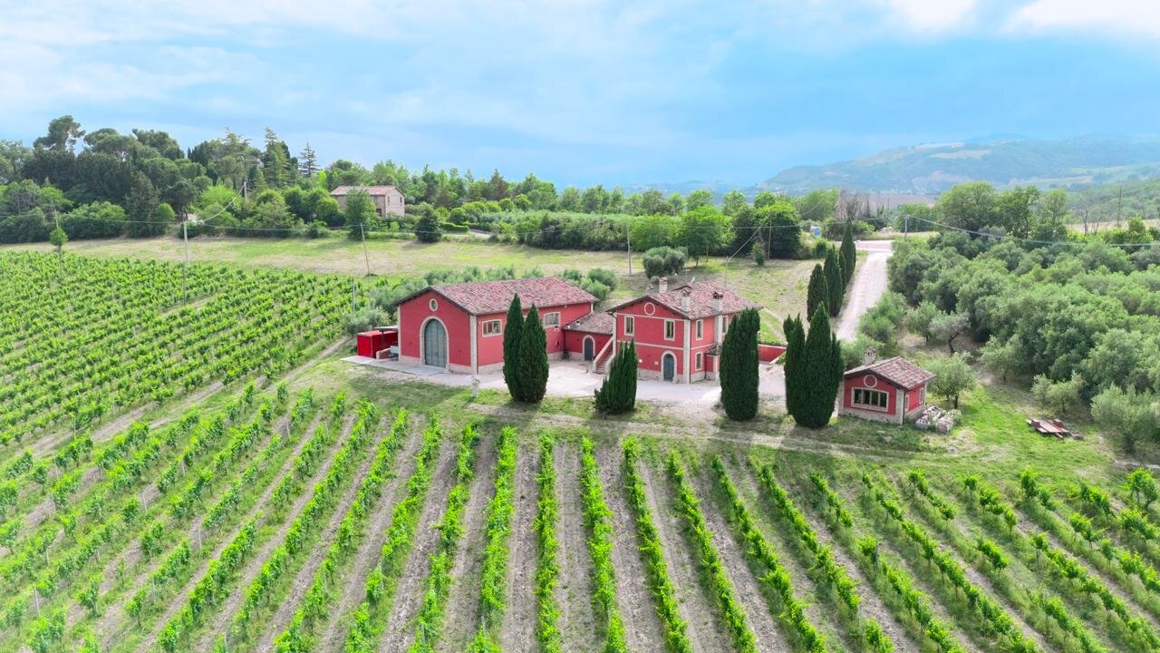 Cantina D'Erasmo