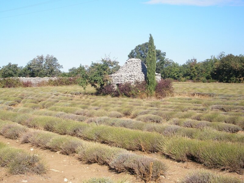 Ferme La Florentine 3
