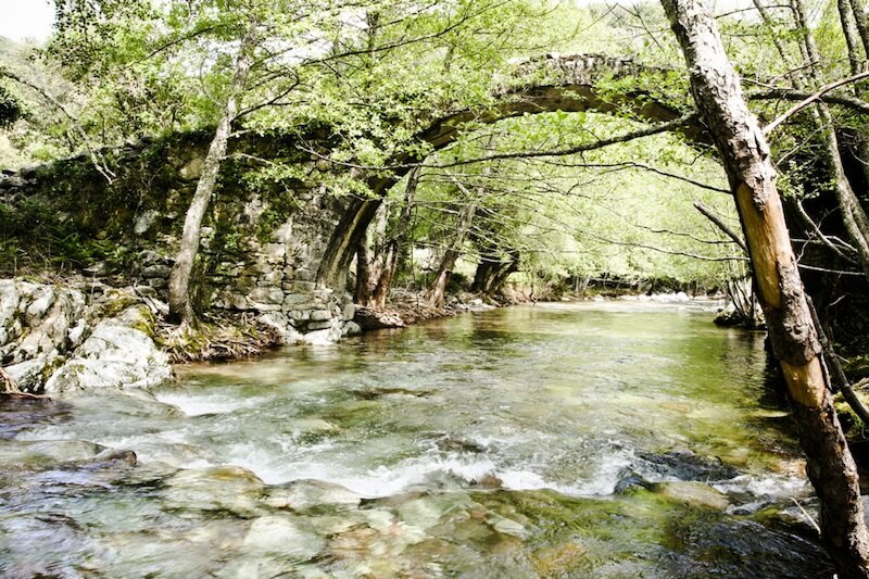 Aire Naturelle de Camping l'Aghja 3