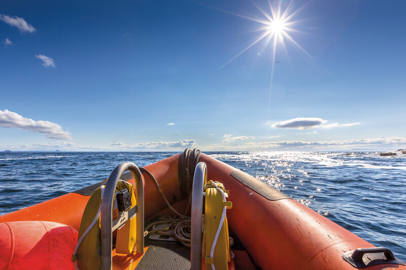 Dive'n Sail 5