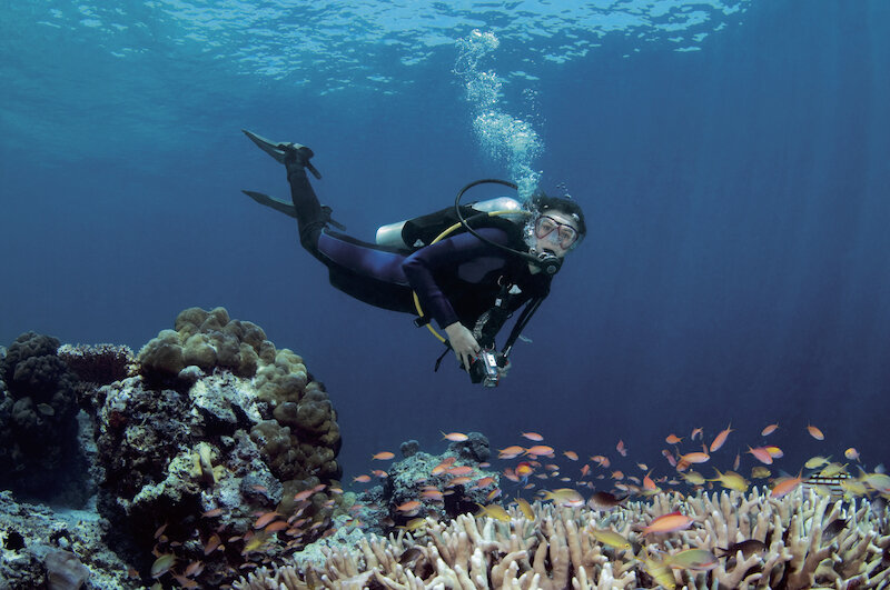 Scuba & Sail Adventures 5