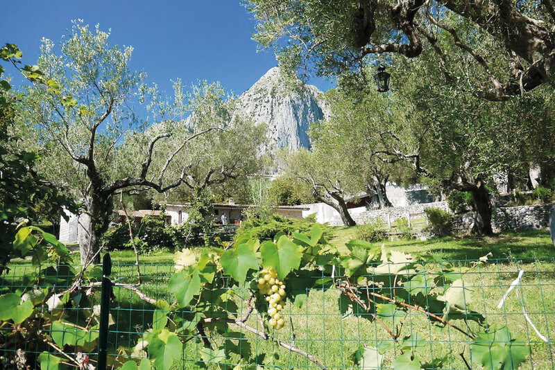 Piè d'Ulivo Country House 2
