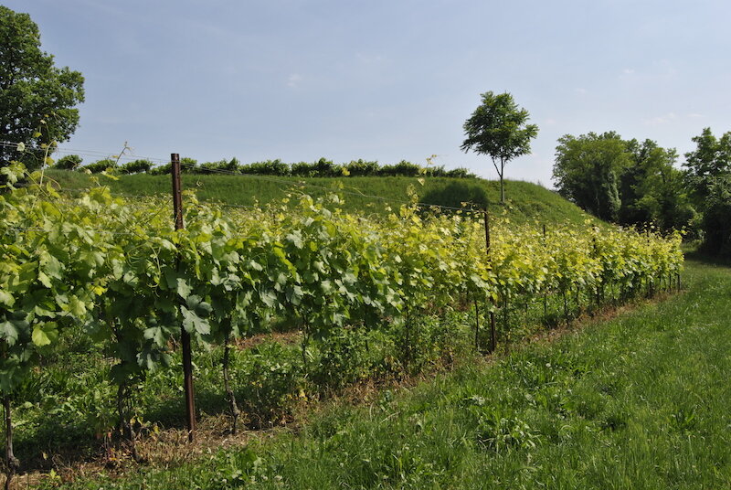 Agriturismo San Leone 3