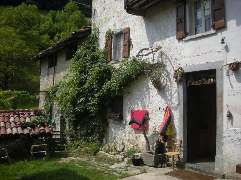 Agriturismo naturale Cascina Gervasoni e Fattoria Didattica 3