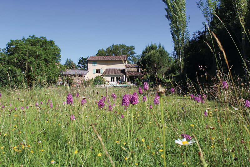Le Bourdil 4