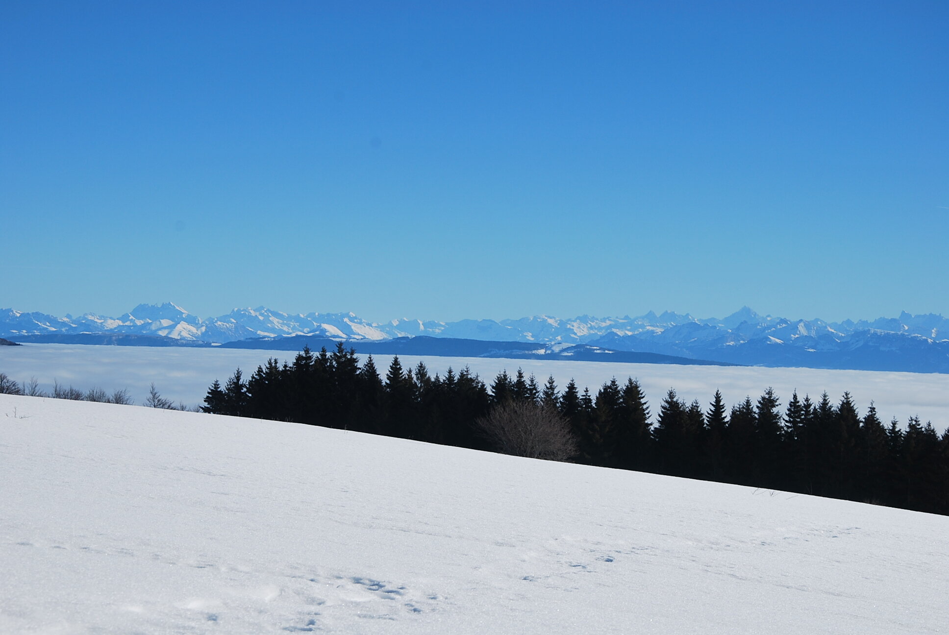Chez Louve Bleue 2