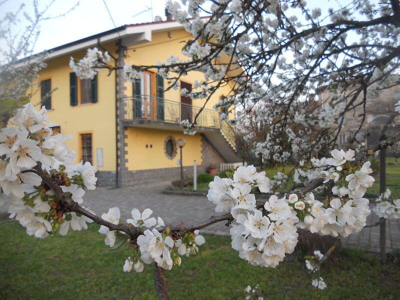 B&B Pervinca 2