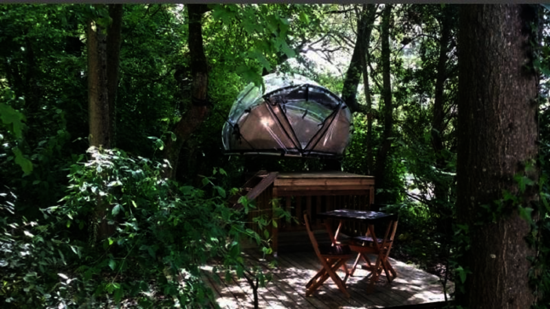 Camping Le Petit Trianon 5