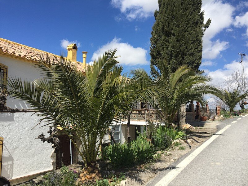 Cortijo La Huerta 2