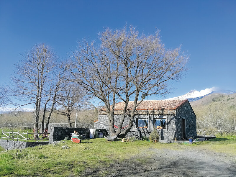 Agriturismo Viola nel Parco 3