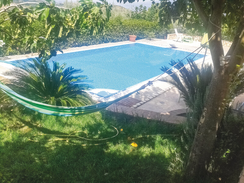 B&B Tetto Verde 2