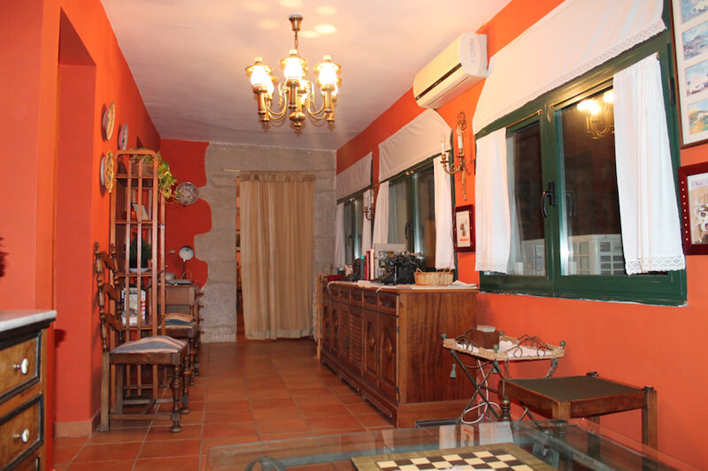 El Olivo de Sansol 2