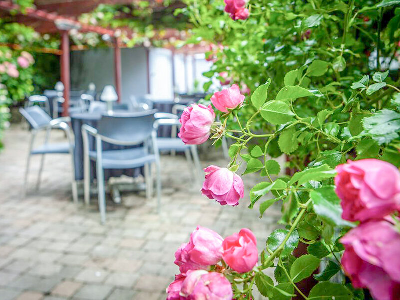 Ballyroe Heights Hotel 3