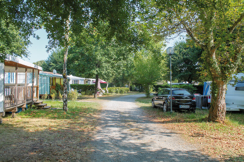 Camping Les Bruyères 5