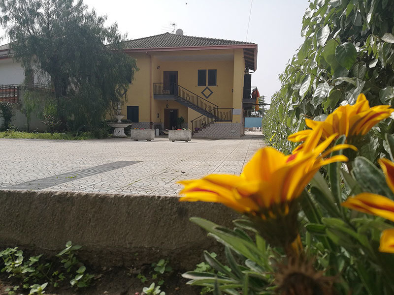 B&B Garden inn 3