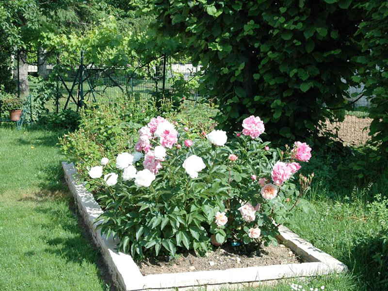 Le Jardin des Roses 3