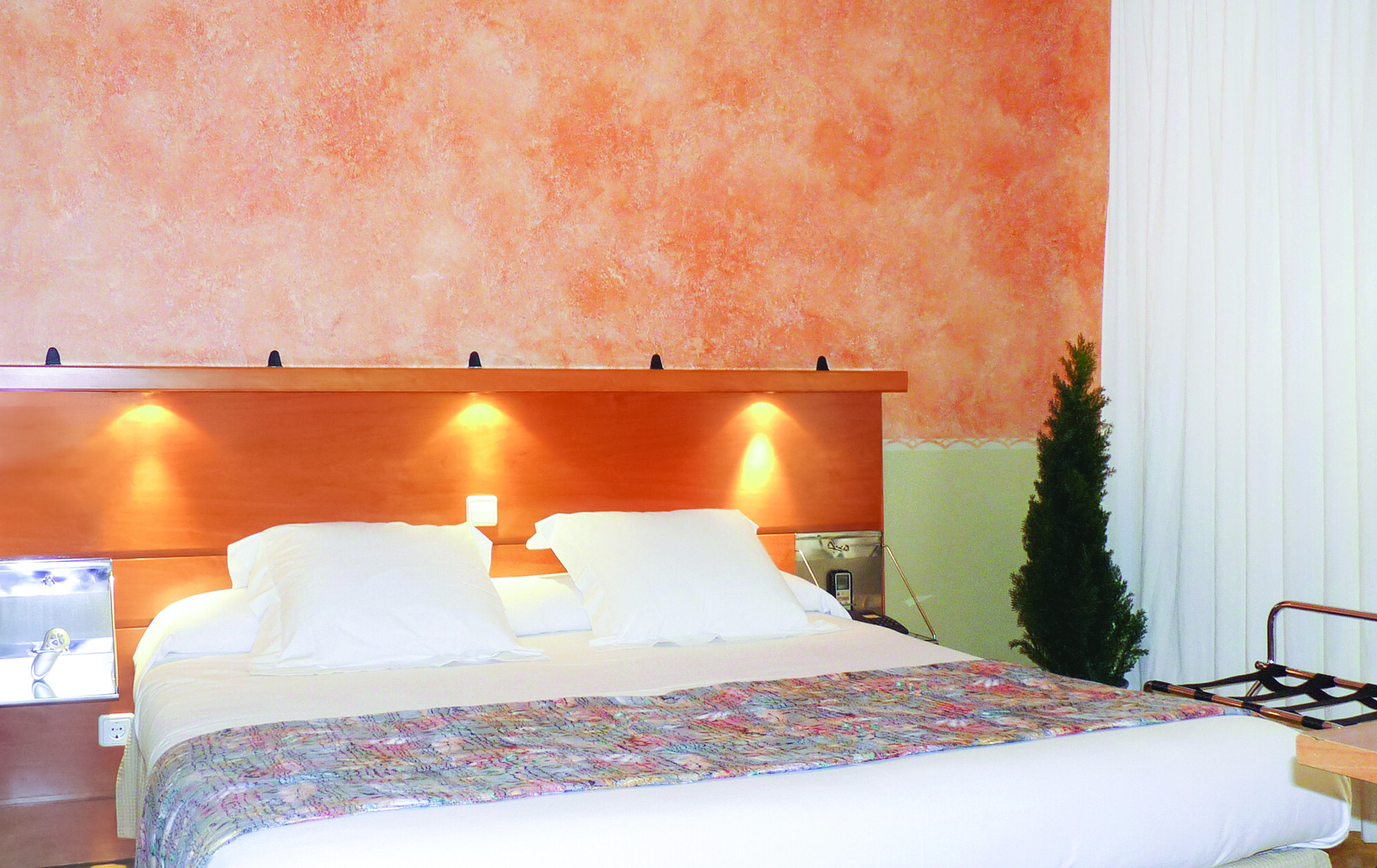 Hotel Ribes-Roges