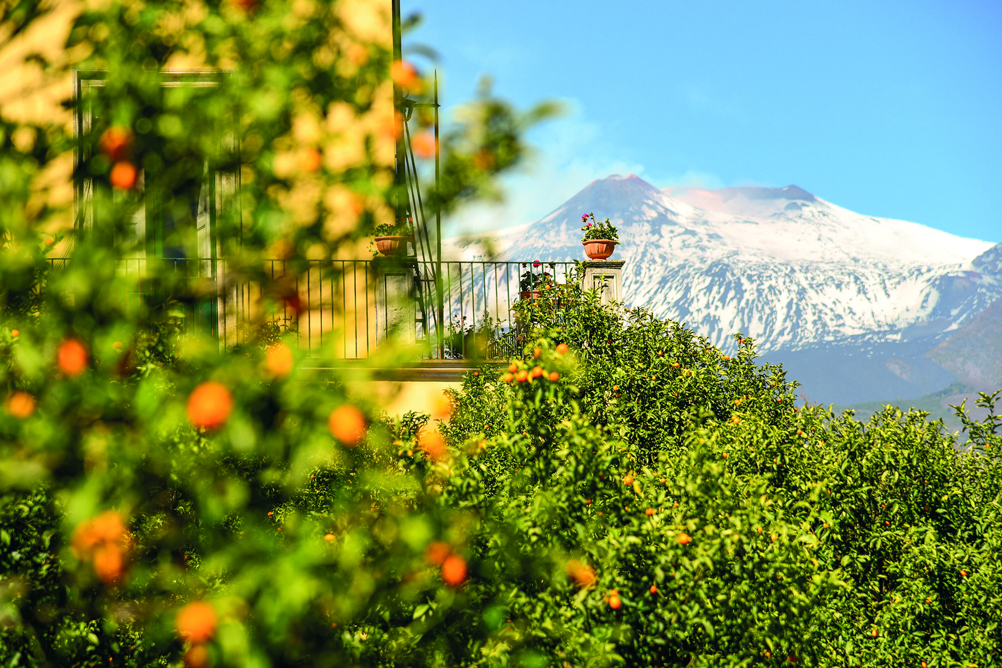 B&B Giardino Arancio 2