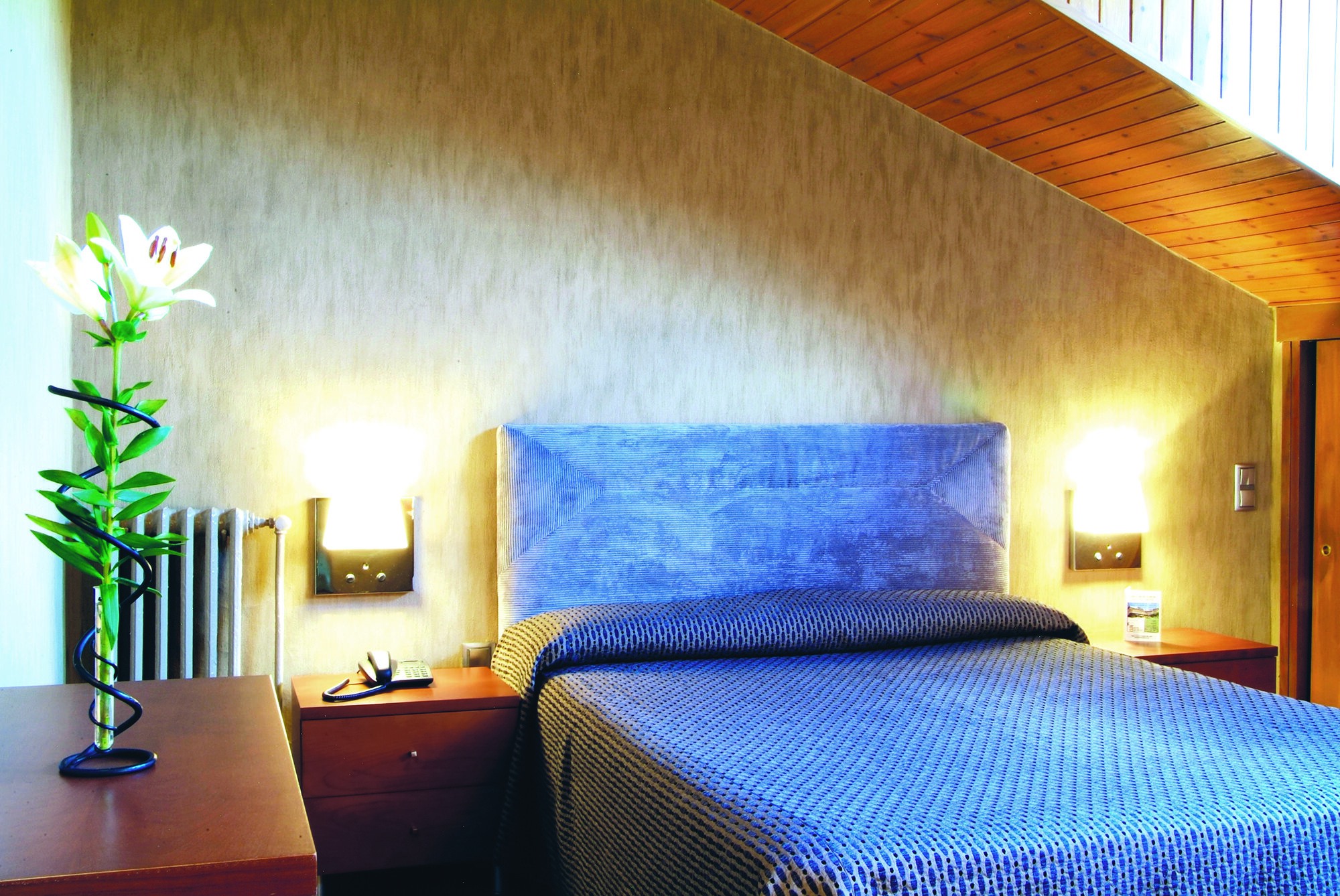 Hotel del Prado 2