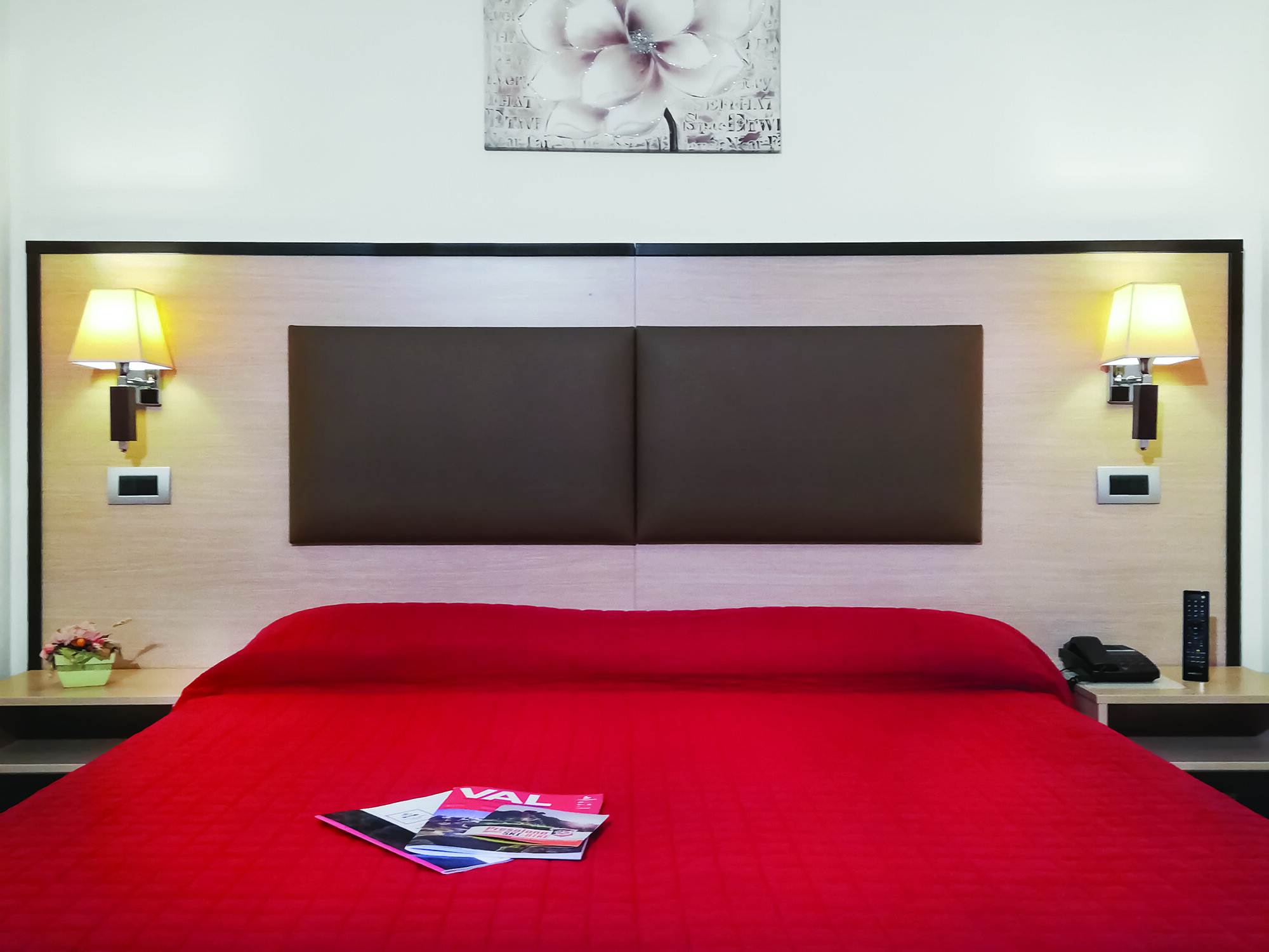 Hotel Des Alpes 2