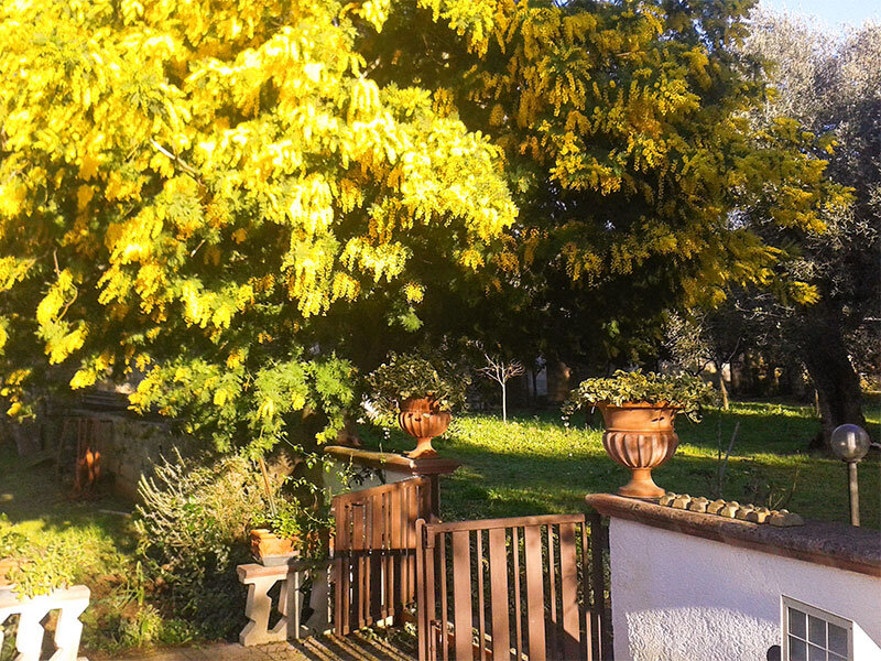 B&B Contrada Macchia 3