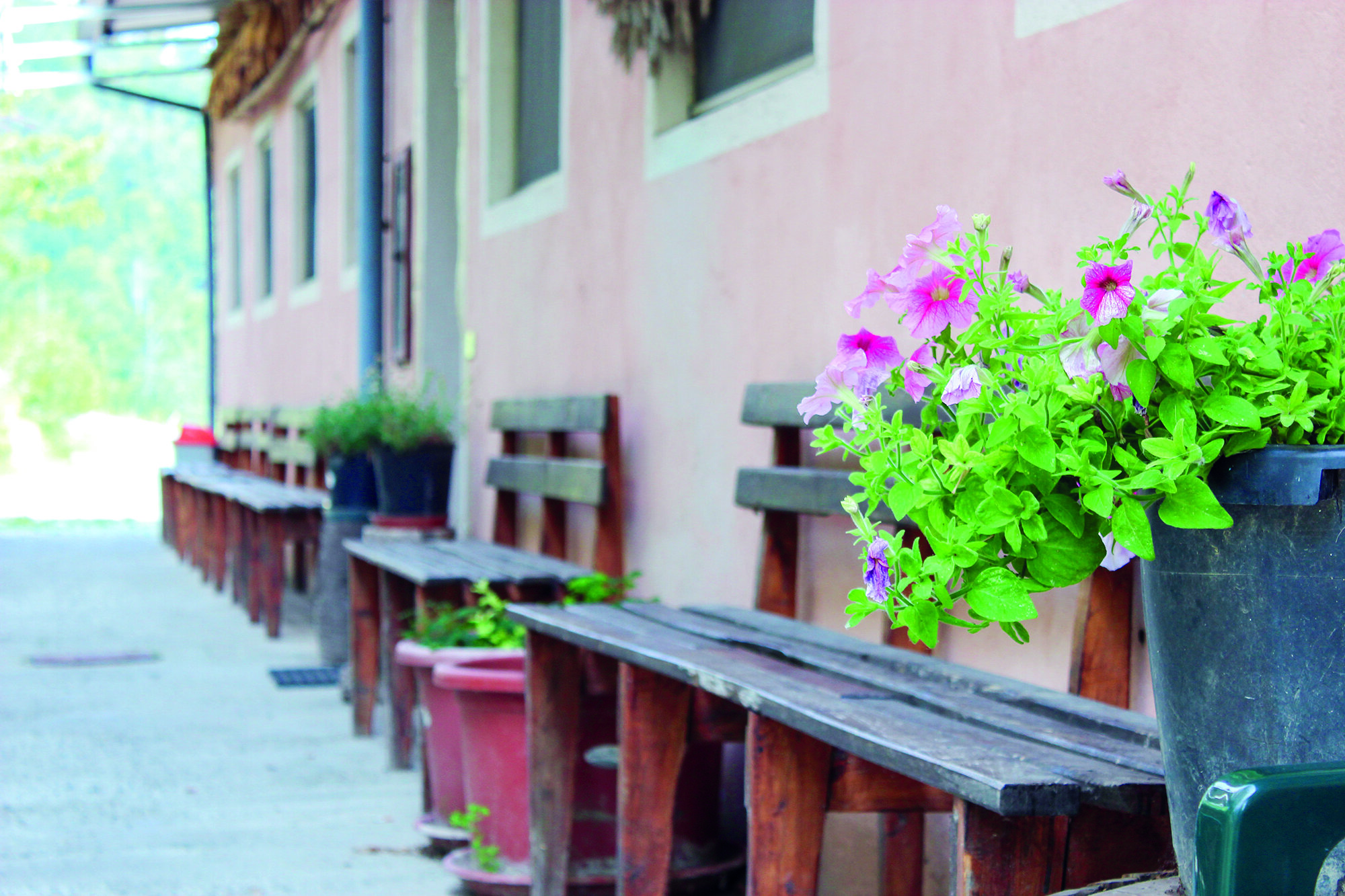 Agriturismo ai Guiet 2