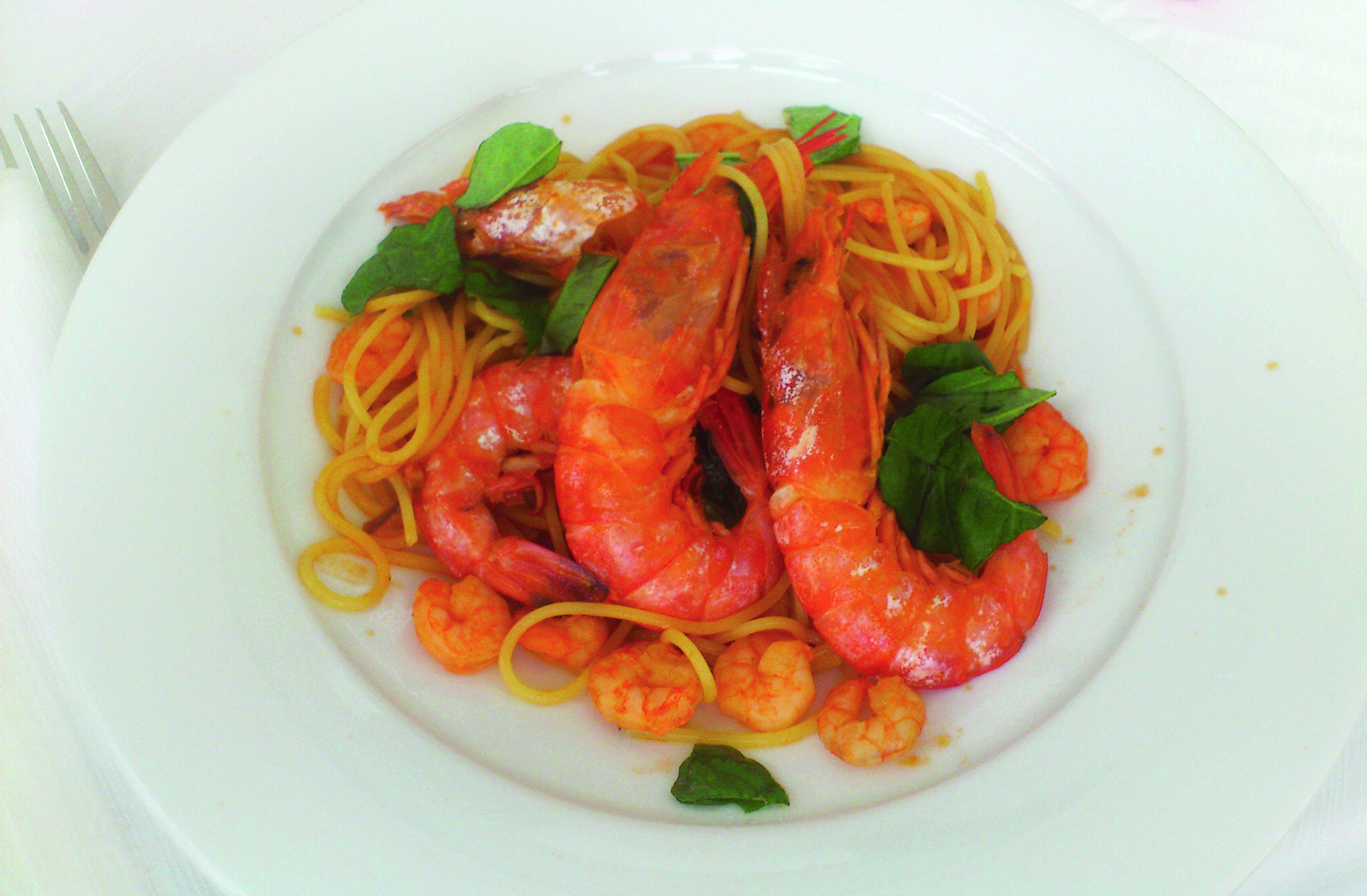 Tenuta Don Giovanni 2