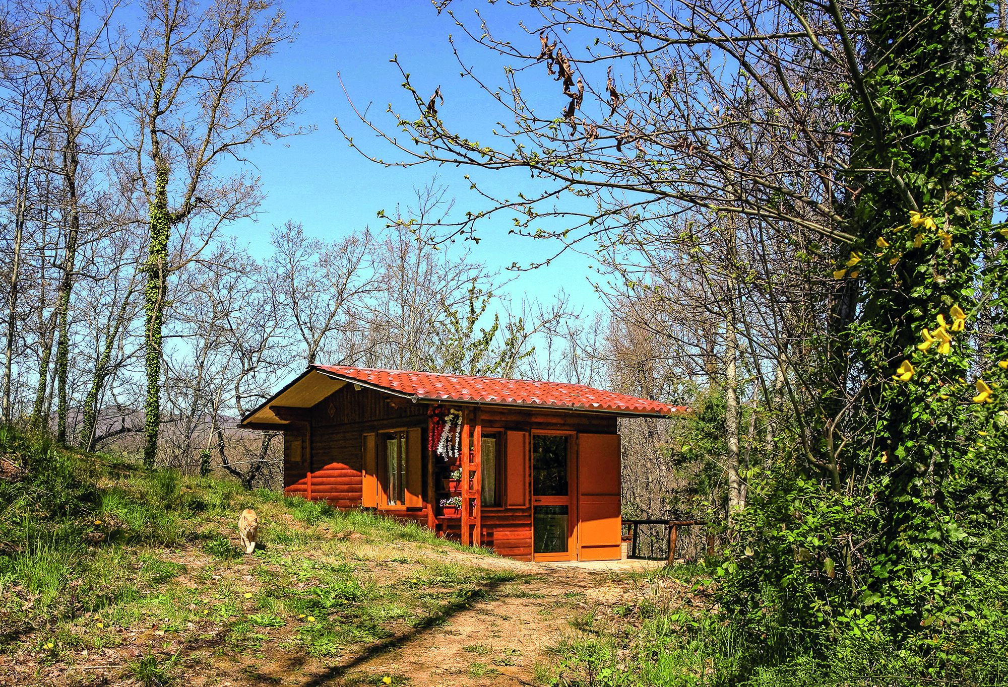 Tenuta Bocchineri 2