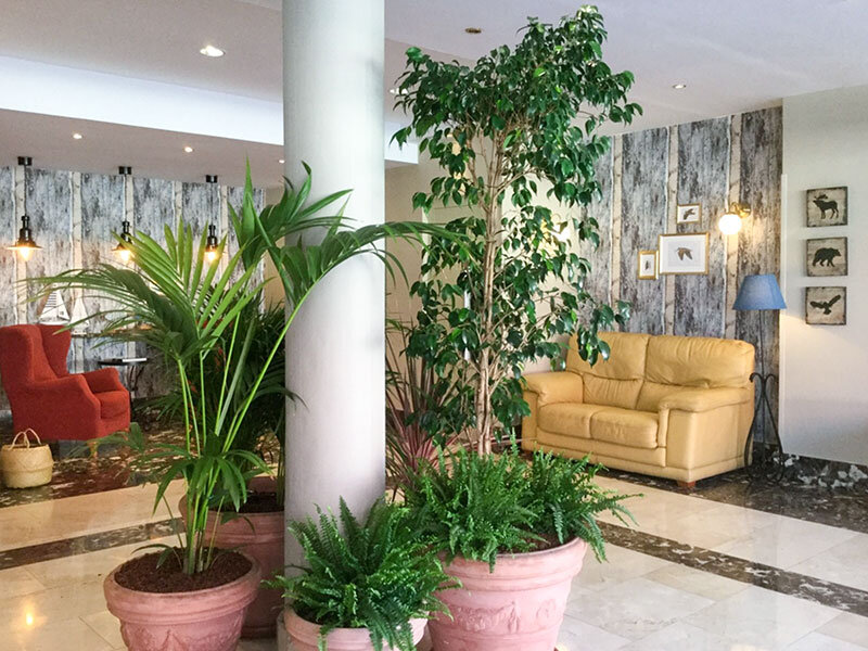 Hotel Arcea Villaviciosa 3