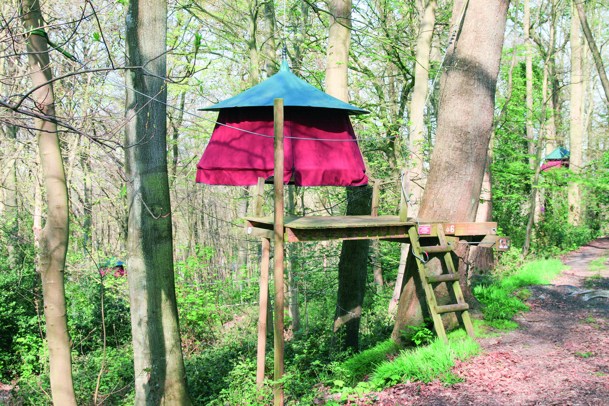Woody Park 5