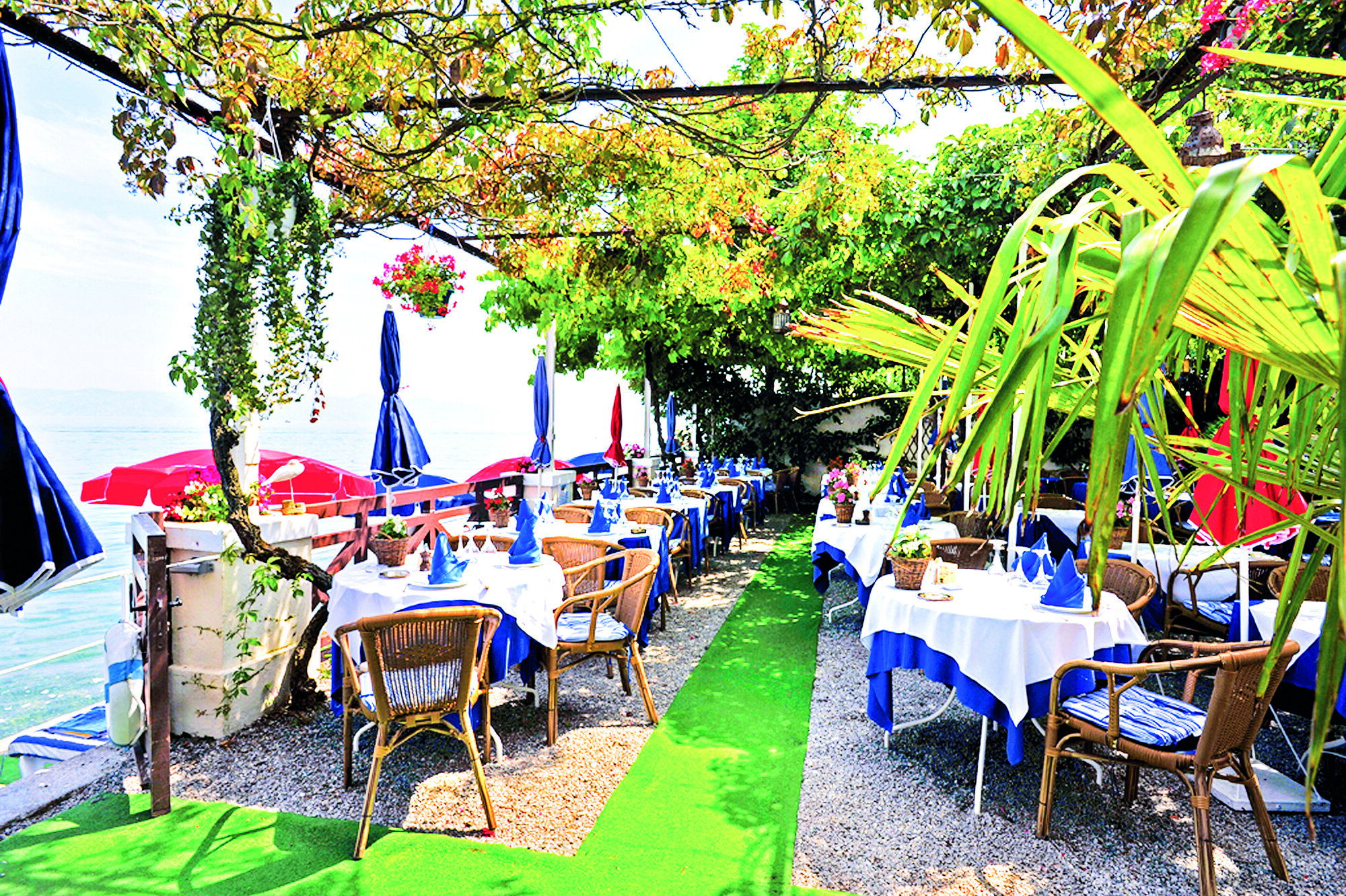 Hôtel les Cygnes 4