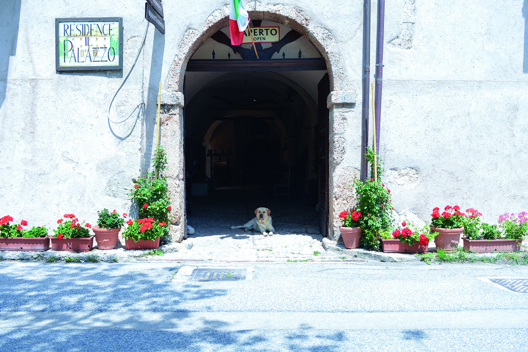 Residence il Palazzo 2