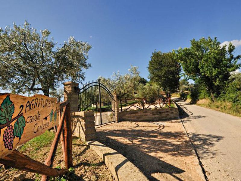 Agriturismo Casale Contessa 3