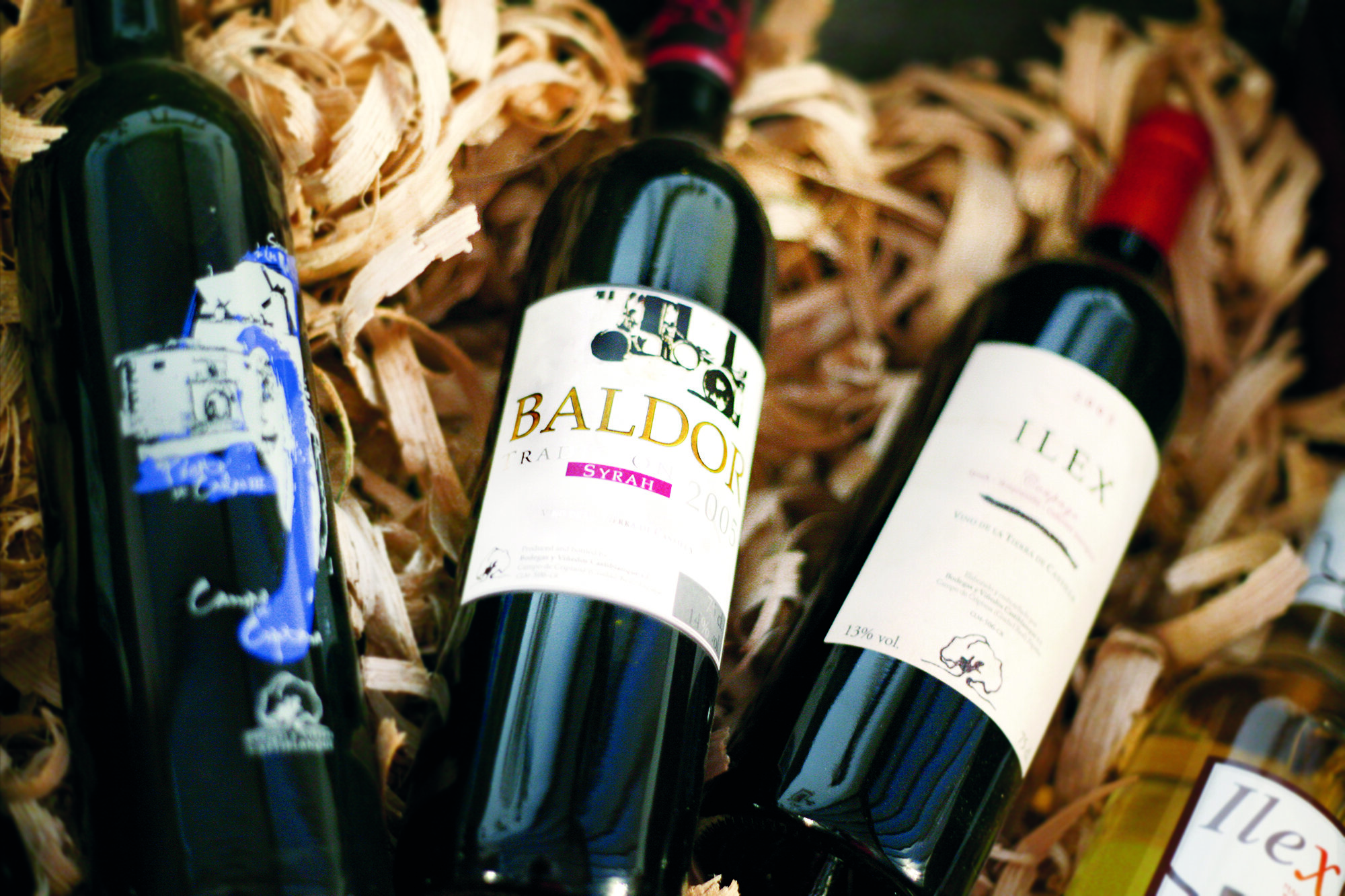 Bodegas y Viñedos Castiblanque 2
