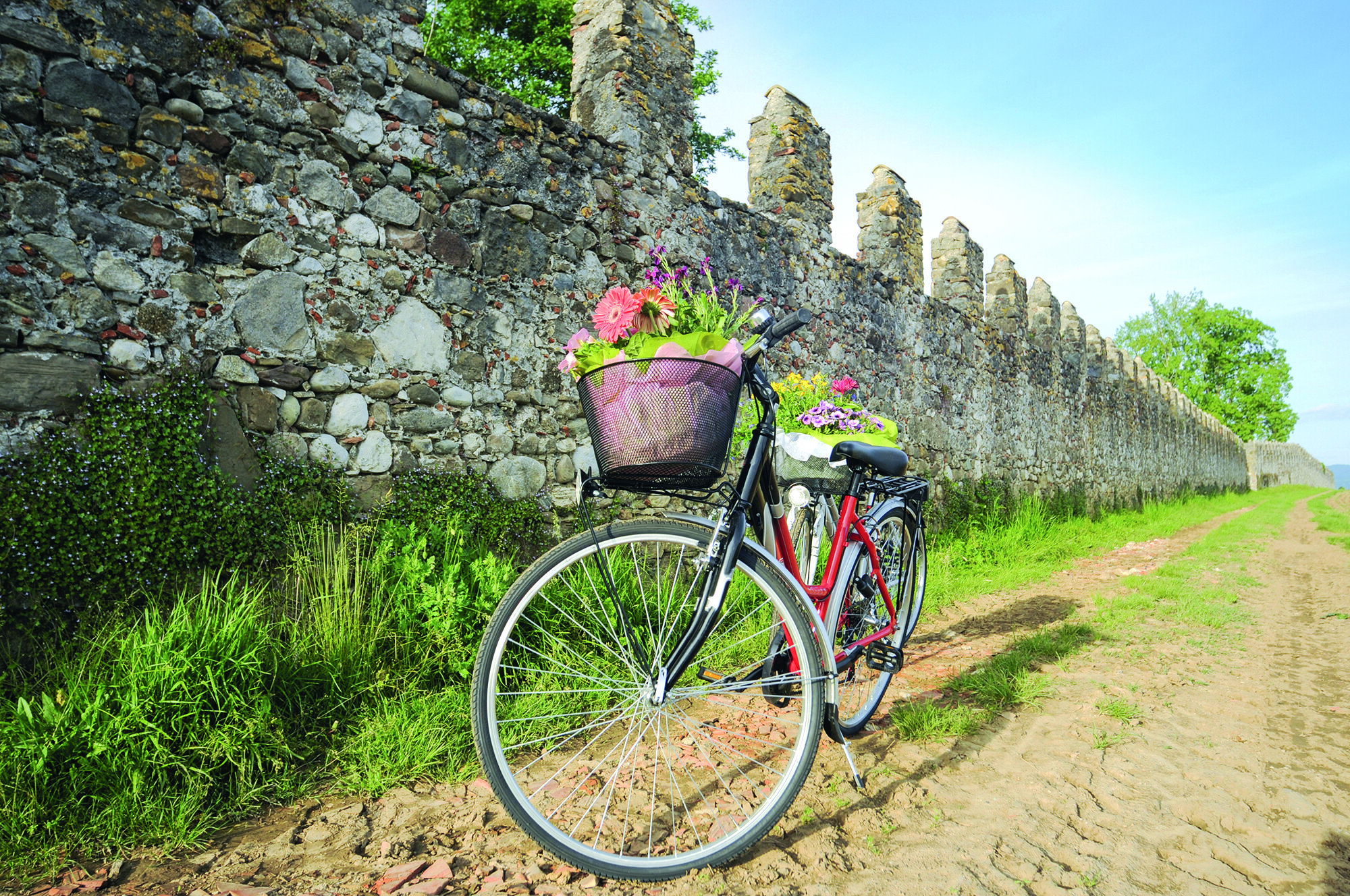 Agriturismo Taj Landia 3