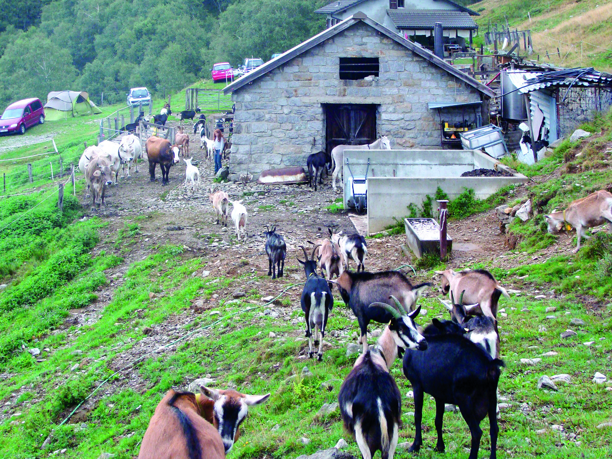 Agriturismo Alpe Zalto 4