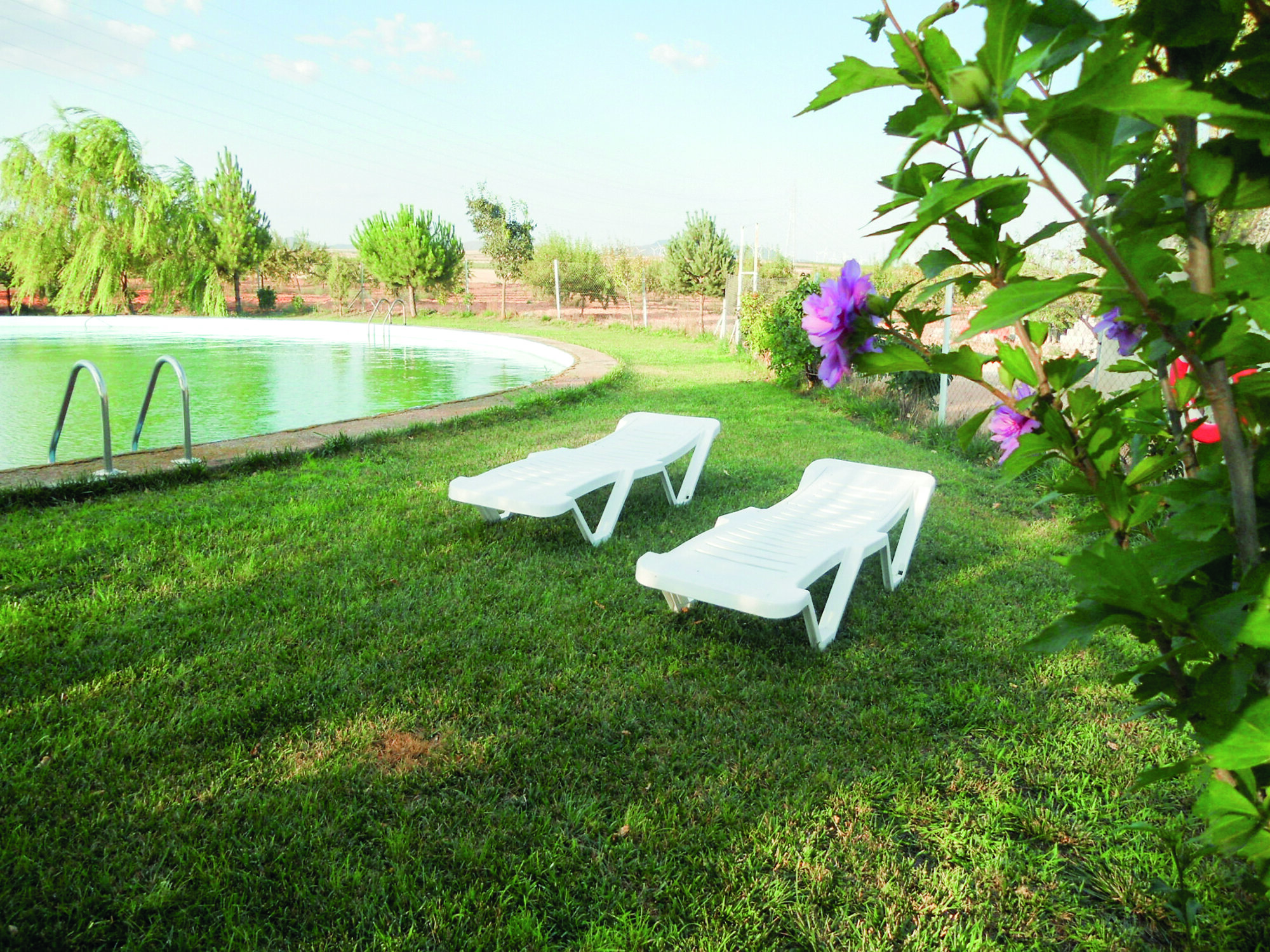 Casa Rural Cortijo Los Llanos 3