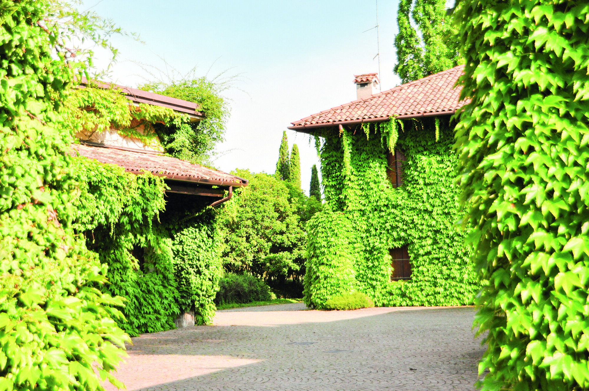 Azienda del Poggio 2